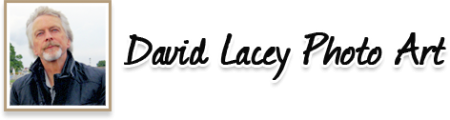 David Lacey Photo Art